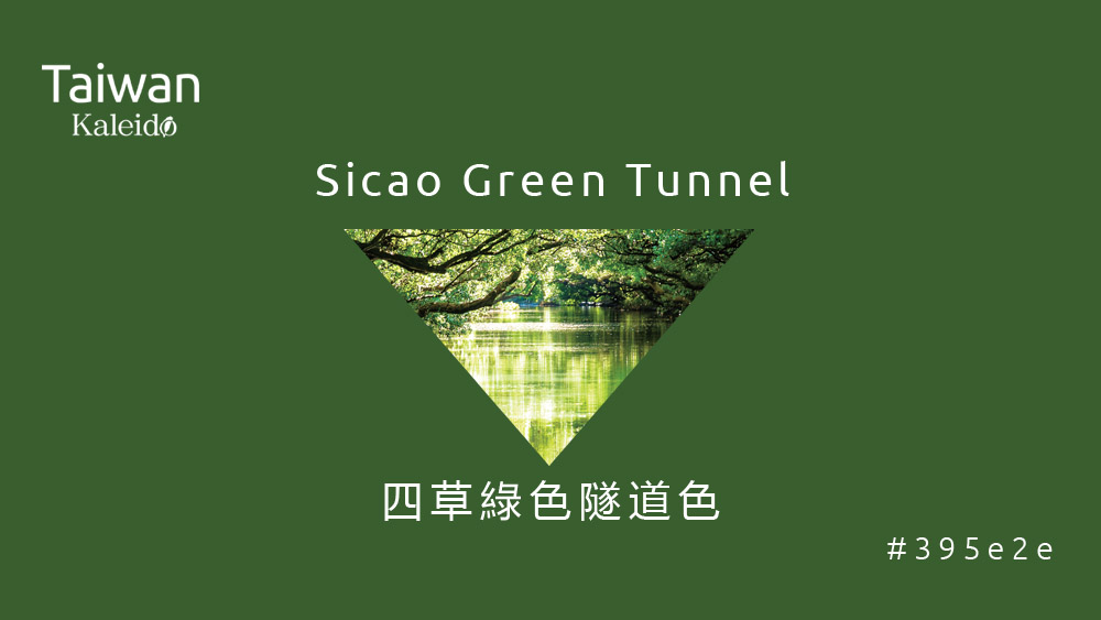 本週精選：四草綠色隧道色 Sicao Green Tunnel  #395e2e